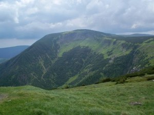 100_9758 (1)